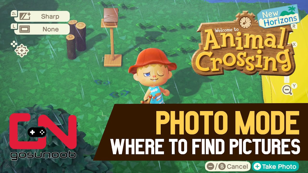 Animal Crossing New Horizons Photo Mode & Where to Find Pictures