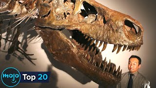 Top 20 Biggest Dinosaurs to Have Ever Existed on Earth