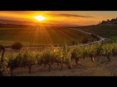 bob-holmes-photography-tips-for-inspiration,-camera-&-travel
