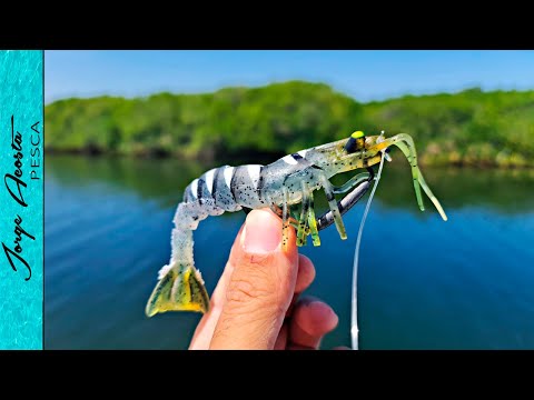 Vídeo: Cargol De Gel: Com Esmolar Els Ganivets De Titani Per A La Pesca Amb Gel? En Què Es Diferencia Un Trepant De Gel De Gasolina D’un Altre Elèctric? Quina és La Millor Manera De Trans