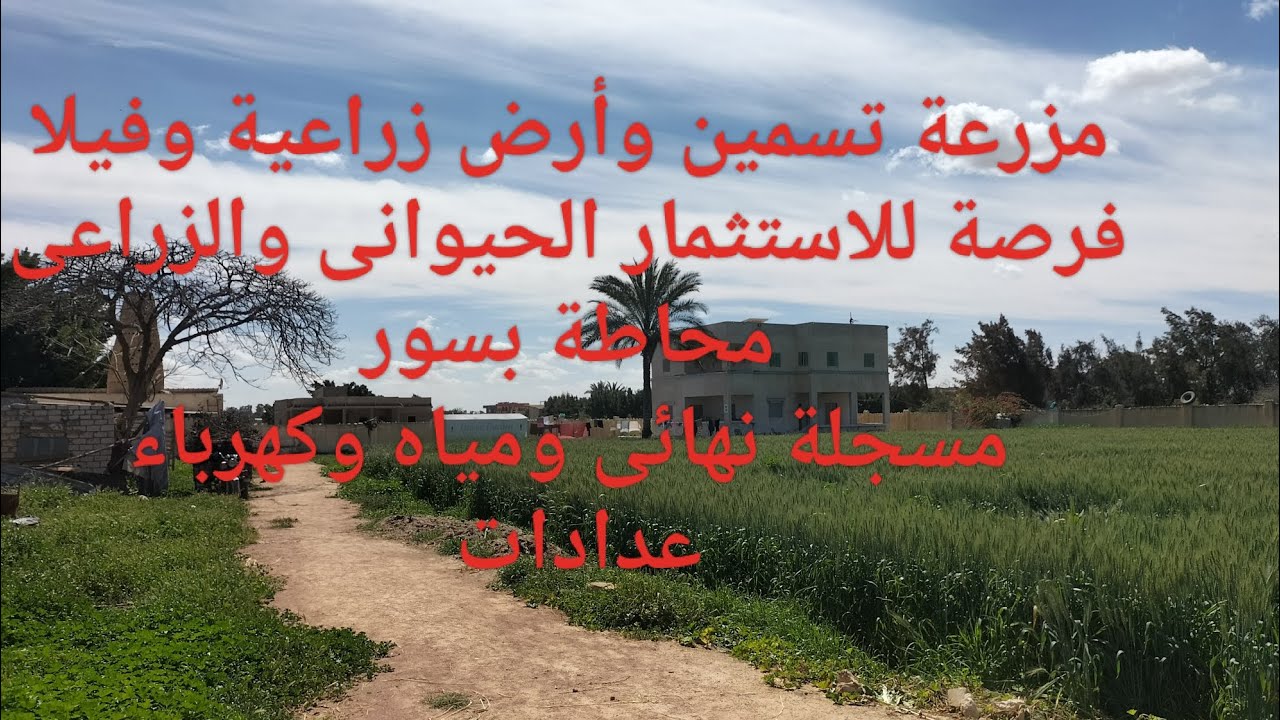 مزرعة وعنابر تسمين وفيلا فرصة لن تتكرر مرة أخرى 01090091821السعرداخل الفيديو قابل للتفاوض