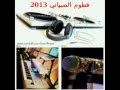 الفنانة فطوم الصبياني لاموني اللوامه 2013 