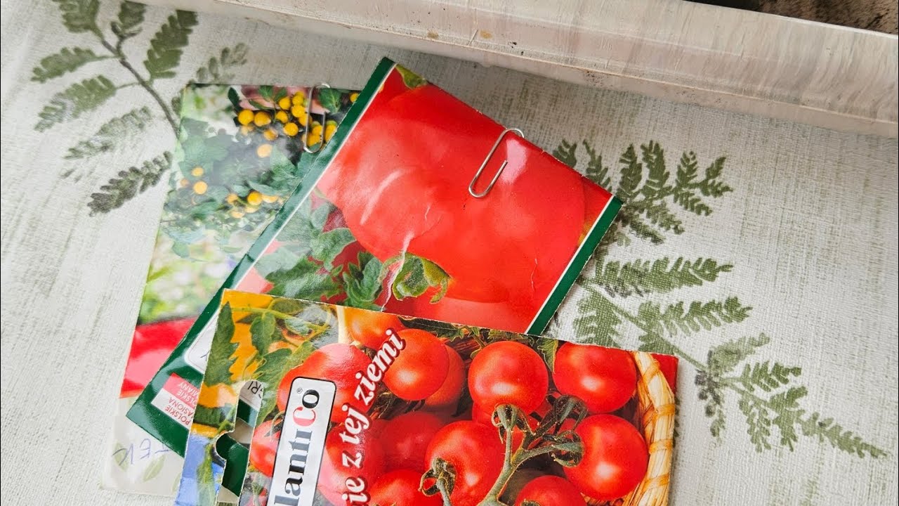 Wysiewam  Pomidory na Wczesny Zbiór.