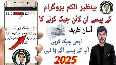 How To Check Benazir income support program Money | Benazir income Program ka Paise Check