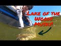 Musky fishing lotw with gregg thomas of musky hunter magazine pro tip handling a musky in the net