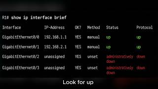 show ip interface brief Command