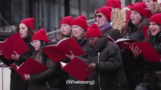 ALL-SING Whale Road (Hwael-Rād) | Beth Morrison Projects