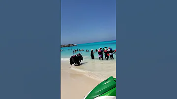 مرسى مطروح شاطى الابيض 