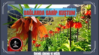Bu Dağlarda Gari̇p Kuştum/Folk