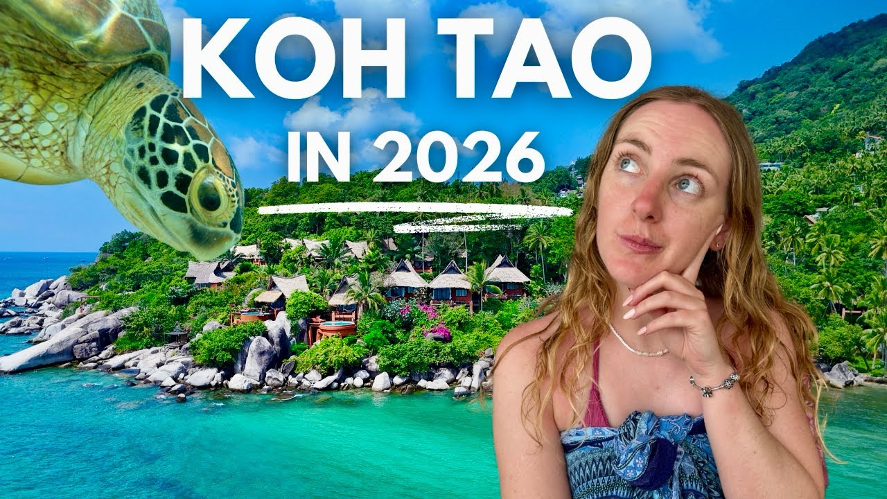 This is why everyone is OBSESSED with KOH TAO! 🇹🇭 | Koh Tao vlog 2026