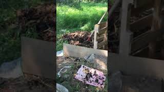 Making new compost The lasagna method