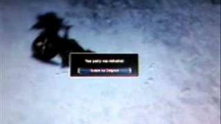 Guild Wars Bug