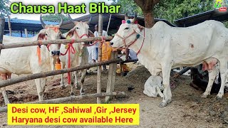 सस्ती दुधारू गाय देखिए चौसा मंडी मे |Cow Mandi in Bihar | Cow Haat in India | Cow Video