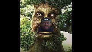 Mystical Tree Eats Edp