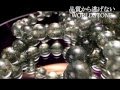 【生命力回復！濃い！グリーンルチル 人気の秘密】 320円 パワーストーンブレスレット ［天然石 意味・効果 辞典］