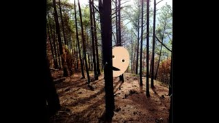 self-portrait example [MMP210]