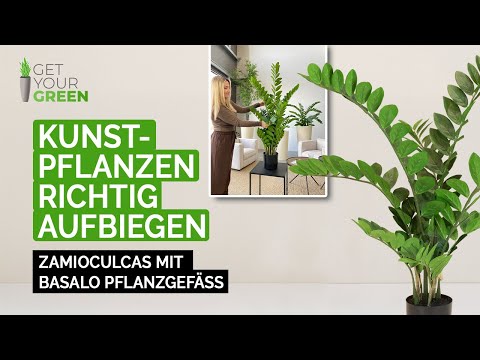Kunstpflanzen Richtig Aufbiegen Zamioculcas In Kombination Mit BASALO Pflanzgefäß GETYOURGREEN