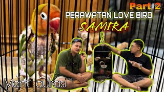 Rawatan LB samira ||H.Dhani Java Art 🔥(part2/2) Lb mentil jemper durasi …!