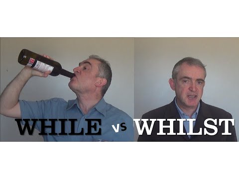 While Vs Whilst