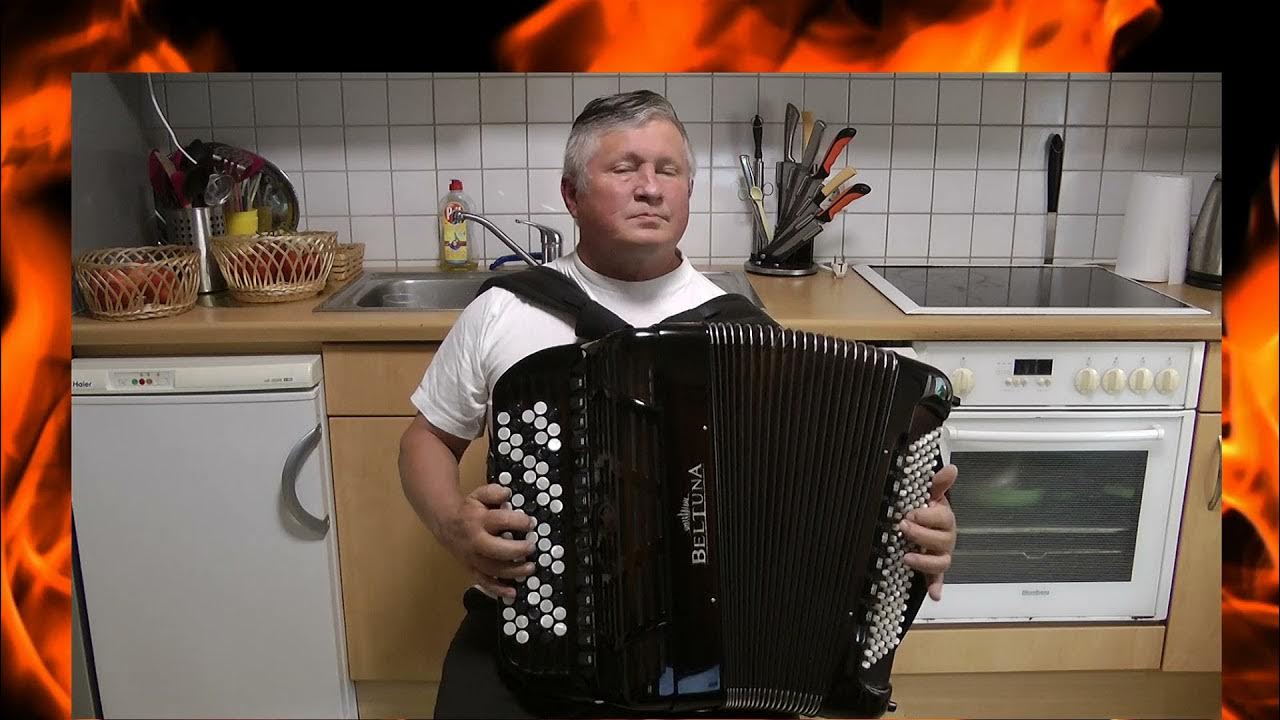 Седой баянист. Седой баянист