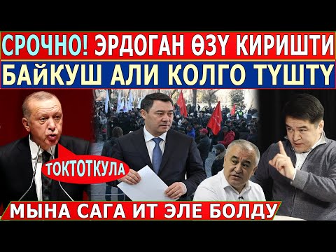 Video: Йогаңызды кантип табууга болот