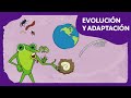 Evolución y adaptación | Planeta Darwin | Ciencias naturales