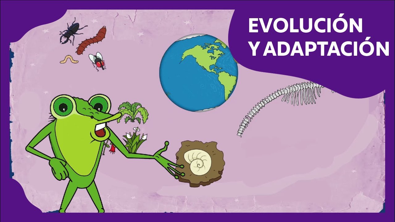 Evolución y adaptación | Planeta Darwin | Ciencias naturales - thptnganamst.edu.vn