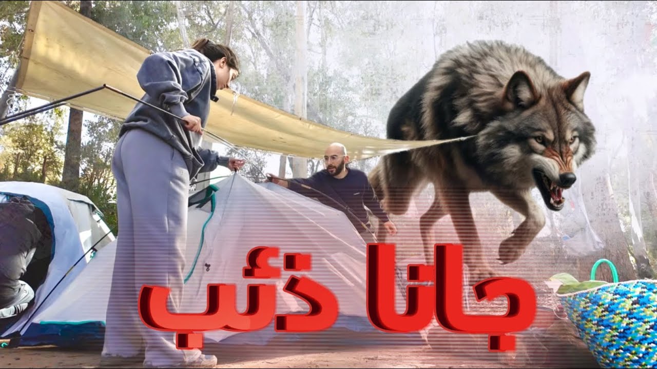 First time camping in Tunisia 🏕️