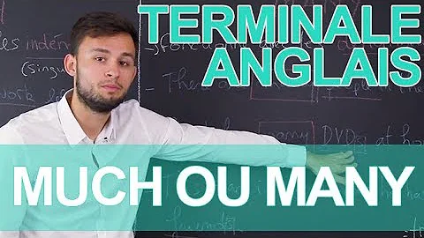 Much ou many ? - Anglais - Terminale - Les Bons Profs