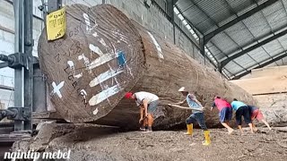 Borong Habis. Tanpa Menawar, Mr. Mukidi Yakin dan Kayu Jati ini Langsung Digergaji.  Hasilnya ??