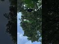ep.15