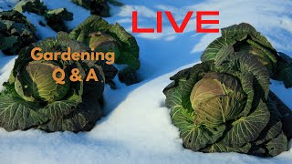 Lets Talk Gardening!
Lets Talk Gardening! Lets Talk Gardening!
