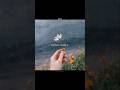 Tumsa koi pyara koi masum nahi hai | Aesthetic lyrics | watsapp status #aesthetic #love #90s #edit