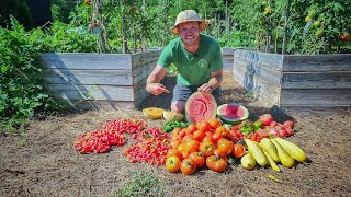 Shocking Raised Bed Harvest! |I Had to Taste Everything |