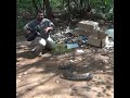 Python attacks the videographer | Python がビデオ撮影者を攻撃 | Reptiles | Wildlife |  Animals #shorts