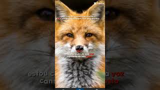 Download Lagu i sick of your Voice MP3