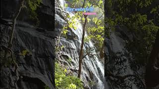 Found paradise in motion | let your worries flow away #shorts #viral #nature #