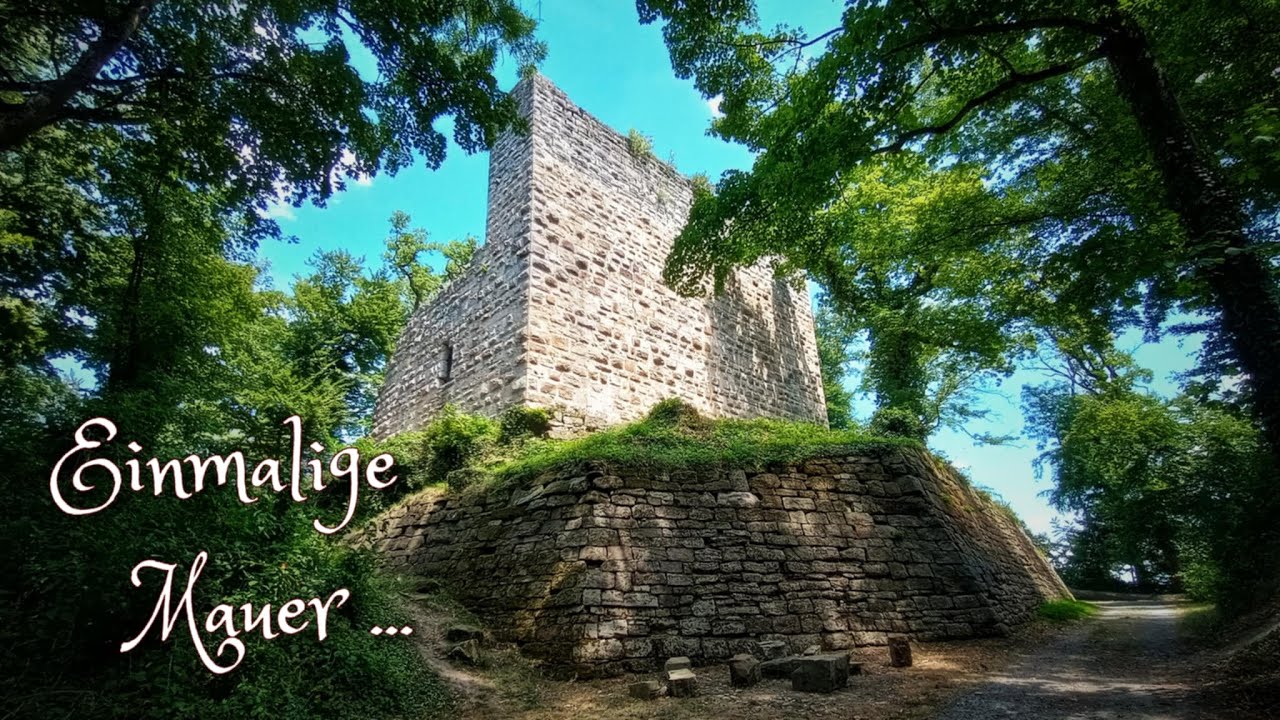 Burg Blankenhorn und Drachen, urzeitliche Fossilien im Weißen Steinbruch 🏰🐉🧚🏻‍♂️