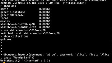 Inserting user data into Mongo DB using Mongo client cs5610o sp20 12203