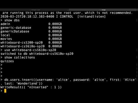 Inserting user data into Mongo DB using Mongo client cs5610o sp20 12203