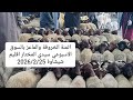 اثمنة الخروفة والماعز بالسوق الاسبوعي سيدي المختار اقليم شيشاوة المغرب 2026 2 25 مع سعيد لحلو