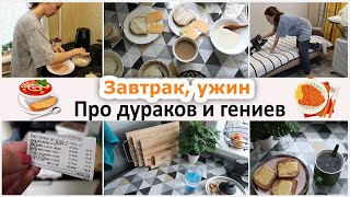 На кухне с белкой. Наш завтрак и ужин. Болталка про дураков и гениев