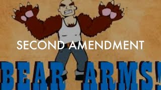The Second Amendment