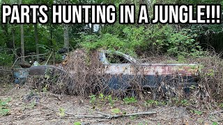 Braving The Jungles Of New Jersey To Rescue Hot Rod Gold!!!