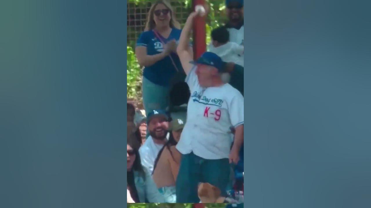 Dog catches home run at spring training mlb dodgers 