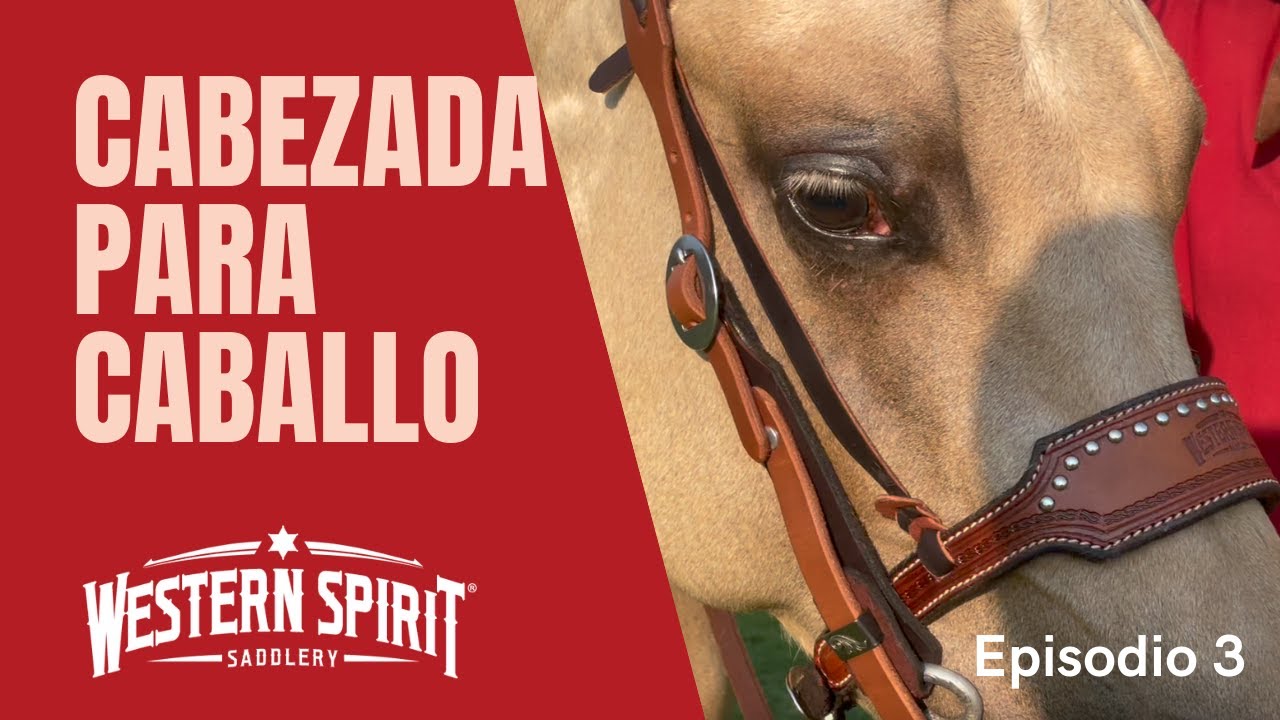 CAP 3 CABEZADAS Y RIENDAS