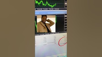 My Trading Results on RoboForex Using My EA: Analysis for 21/03/2024