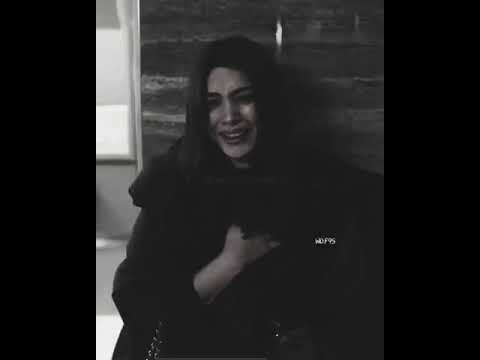 جابو سيرتو اصالة 