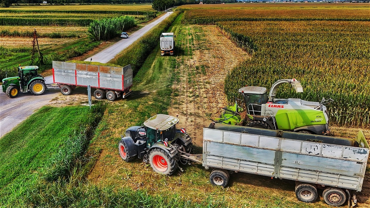 Урожай кукурузы 2024 CLAAS JAGUAR 970