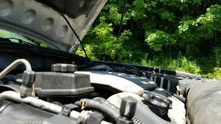 Athlete Statistics 01 deville bad motor mounts